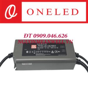 Bộ Nguồn Meanwell PWM-120-12KNBST